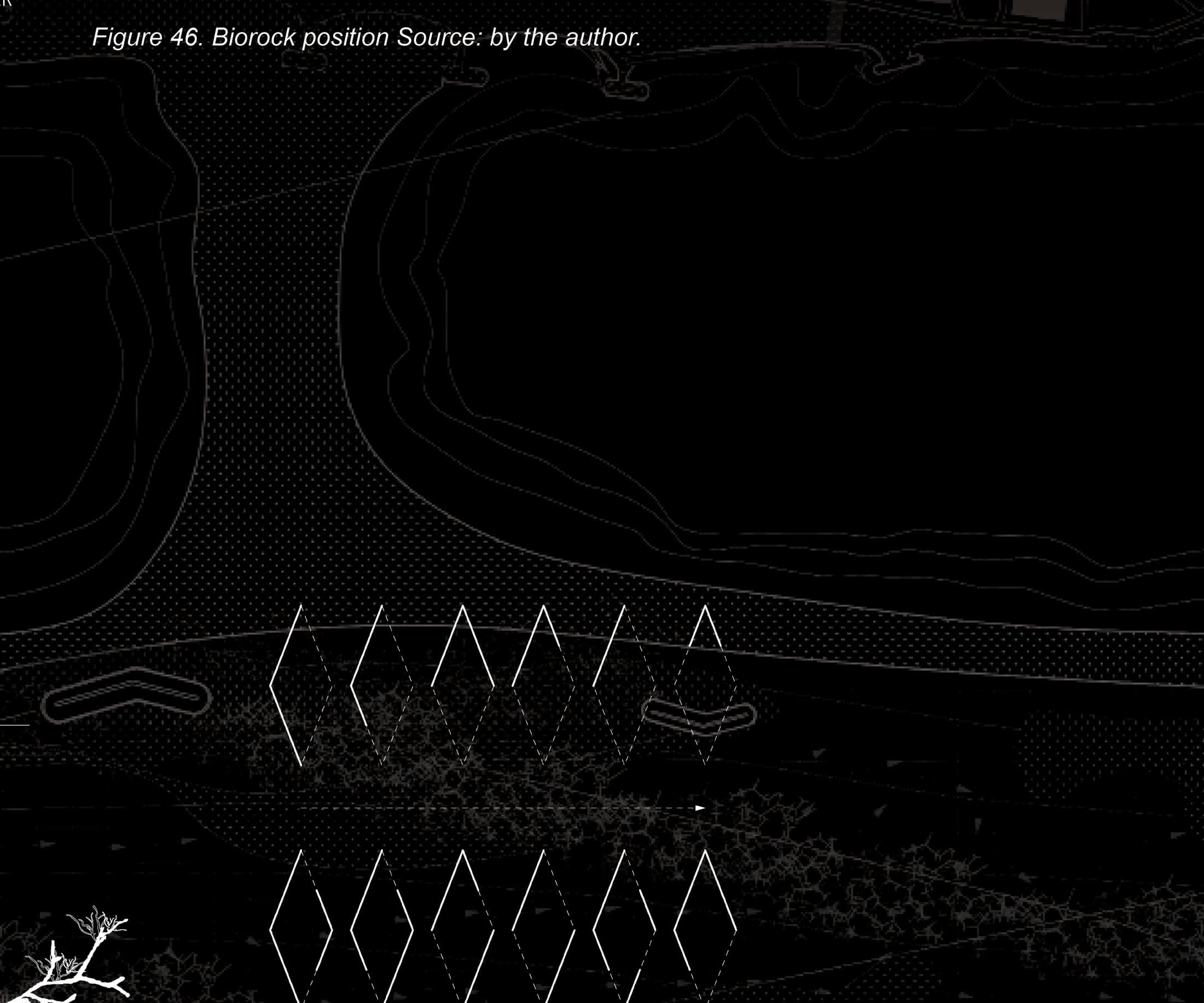 Coastal Bio-Infrastructural Prototypes