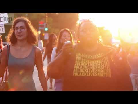 Planetary Biodiversity Crisis: Investigative Documentary
