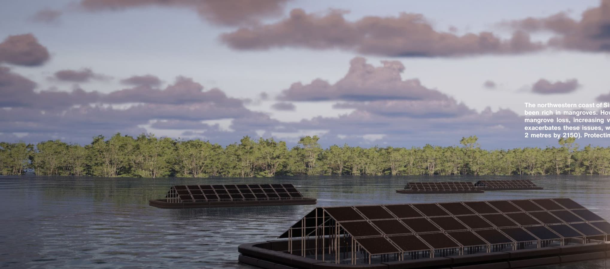 Dusk render of floating platforms among mangroves